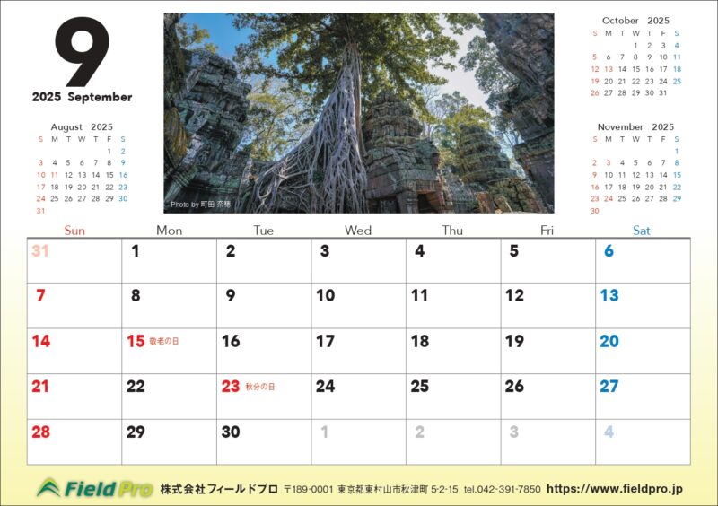 9月になりました